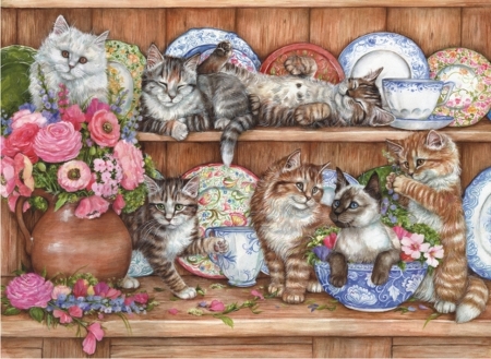 Cats - shelves, pisici, flower, art, cat