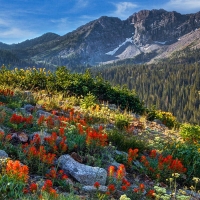 Wasatch Mountains of Utah