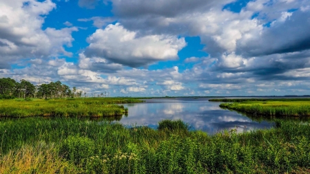 Blackwater National Wildlife Refuge, Cambridge, Maryland - reflections, usa, clouds, water, landscape, sky