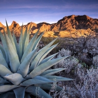 Big Bend National Park Texas