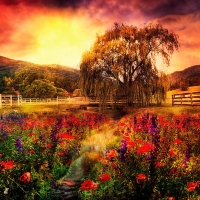 Reds Under the Sun - Smoky Mountains, North Carolina