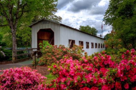 Covered bridge - flowers, covered, beautiful, forest, bridge