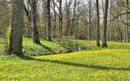 Spring in Park - Latvia, spring, trees, park