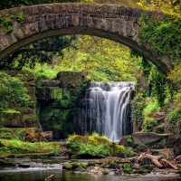 Jesmond Dean Waterfall Framed by old Bridge