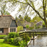 Spring in The Netherlands