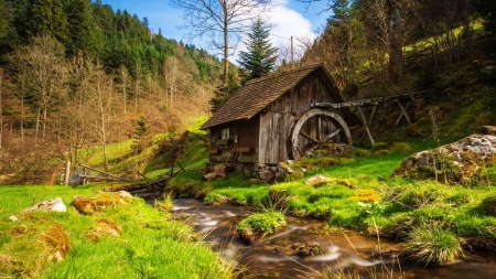 Old mill in Germany - mill, beautiful, grass, mountain, rural, wilderness, Germany, forest, stream