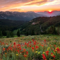 Summer sunset in Big Cottonwood Canyon, Utah