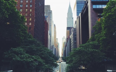 Chrysler Building NYC - new york city, trees, chrysler building, skyscrapers, architecture