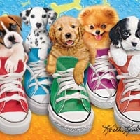 Puppies and sneakers