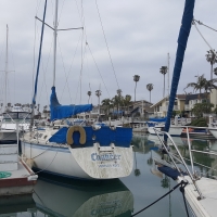 Nice Backyard, Ventura, Ca