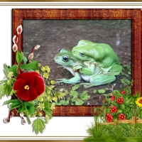 FRAMED FROGS