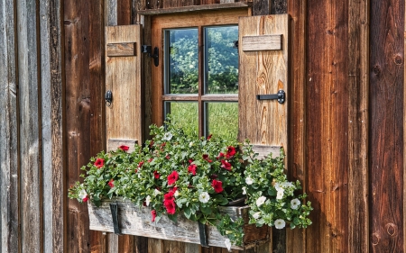 Window with Flowers - wooden, glass, flowers, window