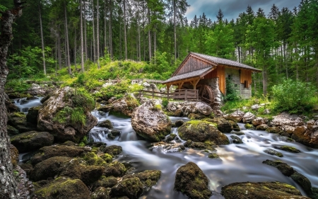 Watermill in Forest - watermill, wooden, waterfall, stream, forest