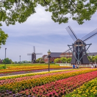 Windmills in Japan