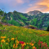 Mount Baldy Sunset, Alta, Utah