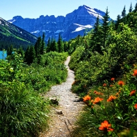 Grinnell Glacier Trail, Glacier National Park