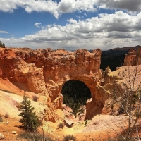 Natural land bridge, Bryce Canyon, Utah