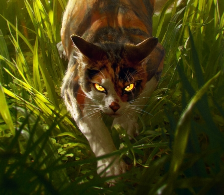 Warriors - pisici, fantasy, art, green, anna podedworna, cat, grass, warriors