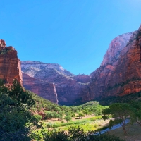 Light flooding through Zion Canyon