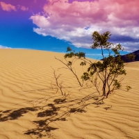 Mesquite Flat Sand Dunes, Death Valley, California