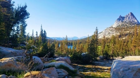 Cathedral Pass, Yosemite - usa, trees, california, landscape, rocks, sky