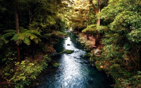 Whangarei, New Zealand