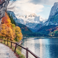 Nature - 8K Resolution
