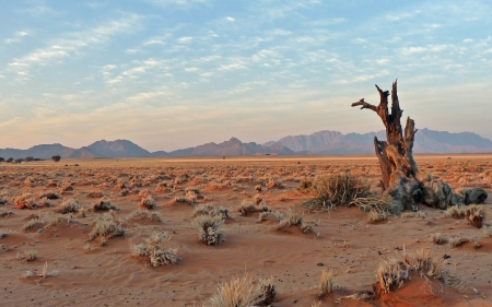 Desert in Namibia, Africa