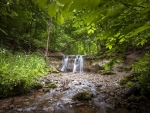 Forest Waterfall