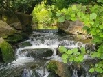 Waterfall in Latvia