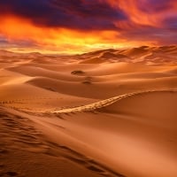 Sand dunes