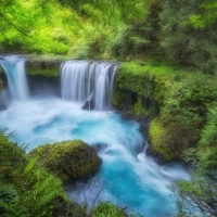 Waterfall in the Oregon Forest