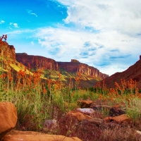 Sunset over a flowering valley. Moab, Utah