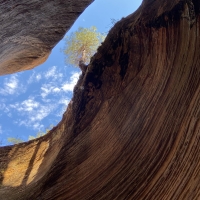 This is near the end of Echo Canyon, in Zion National Park, Utah