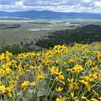View of Jackson Hole from Signal Mountain in Grand Teton National Park, Wyoming