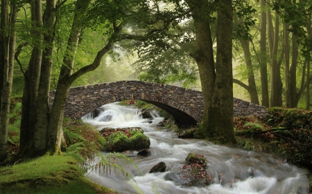 Forest Stream - trees, water, stream, Pyrenees, forest, bridge