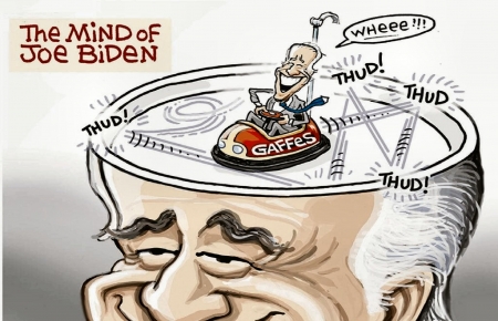 Mind Agaffe - mind, biden, sad, conitive