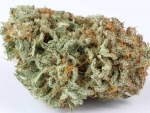 Buy Afghan Kush Strain - Best Afghan Kush Marijuana Strain Online Store USA - Buy Cheap Afghan Kush Weed Strain Online USA