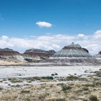 Petrified Forest National Park, truly a hidden gem in Northern Arizona