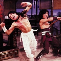 Sword Masters Two Champions Of Shaolin