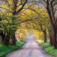 Cades Cove, Great Smoky Mountains National Park - Sparks Lane