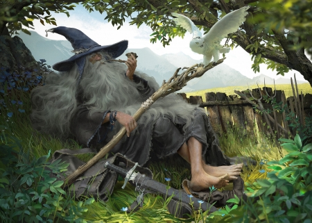 The Mage - bird, man, gandalf, wizard, owl, fantasy, nage, bufnita, luminos, pasari, alex negrea, hat