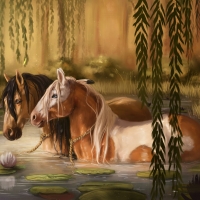Horses