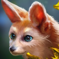 Fennec