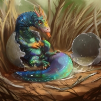 New born dragon