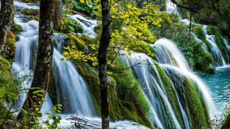 Forest waterfall - trees, waterfall, summer, beautiful, forest