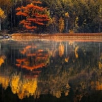 Lake Reflection