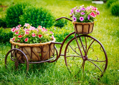 Tricycle with flowers