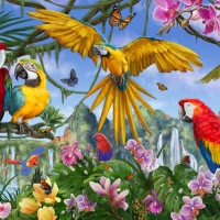 Parrots