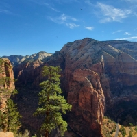 Taken on the top of the Angel's landing trail in Zion National Park